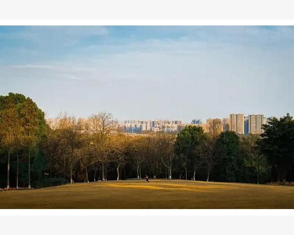 刮痧妙招：小疙瘩不烦恼，中医科普告诉你解决之道！